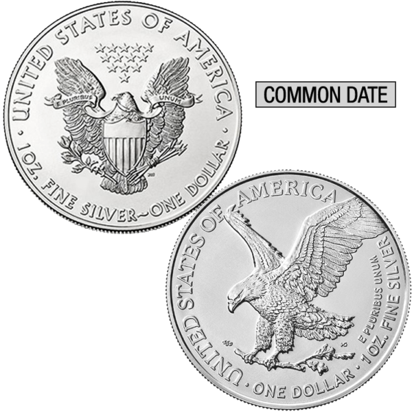 1 oz American Silver Eagle Coin (Common Date) back